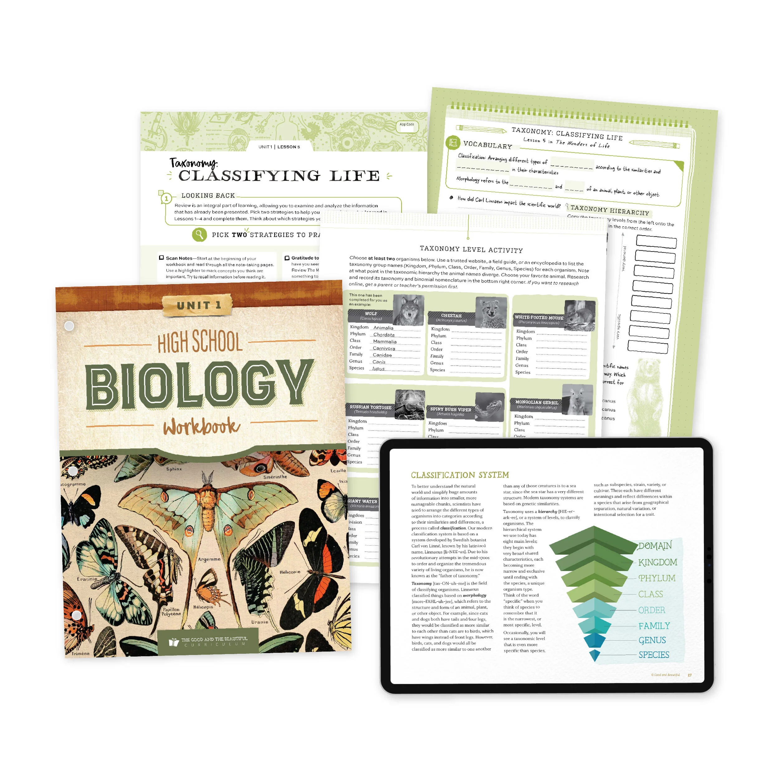 High School Biology Course Set - Image 2